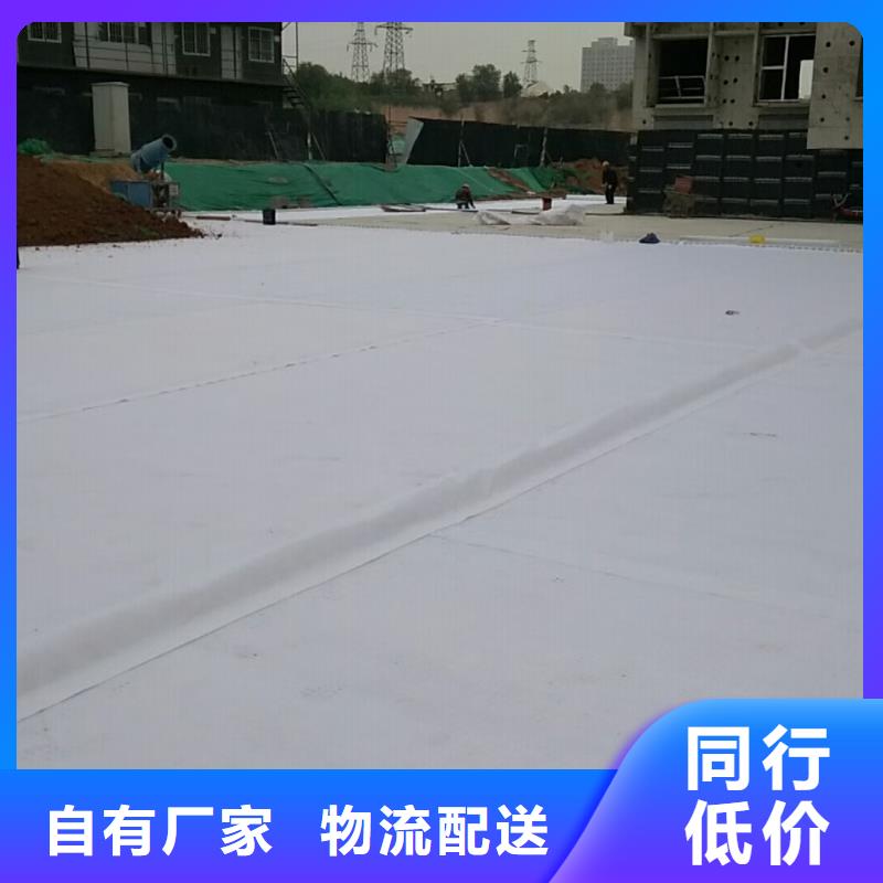 虹吸排水植草格支持大小批量采购