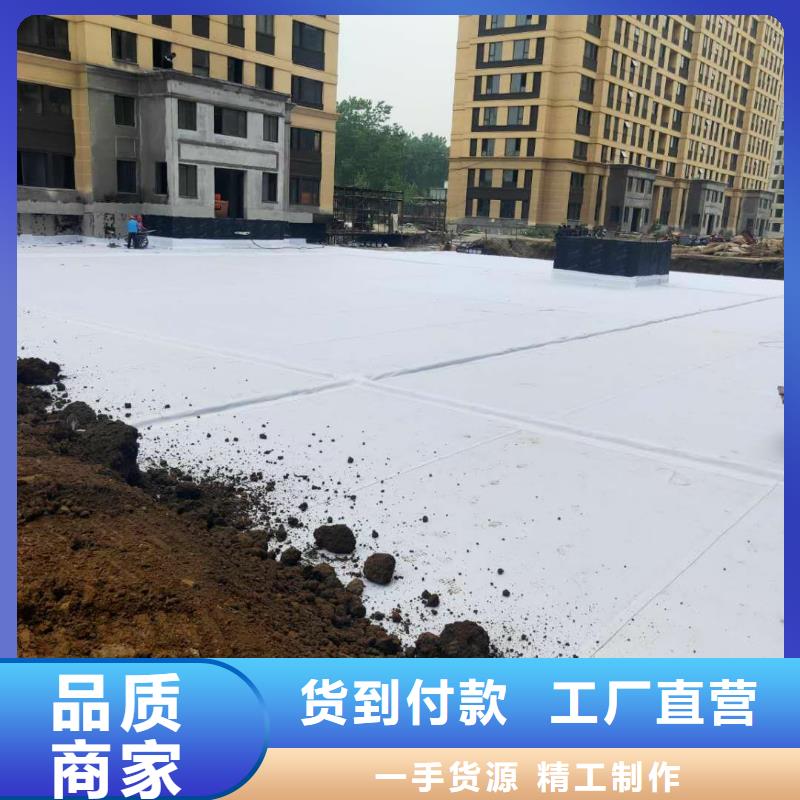 虹吸排水植草格您身边的厂家