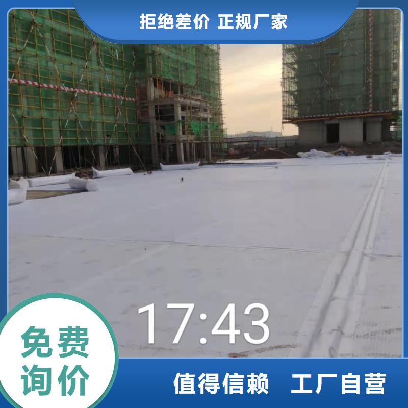 虹吸排水植草格您身边的厂家