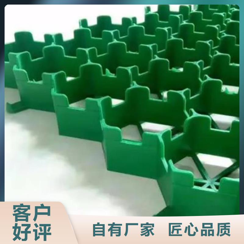 植草格型号全/价格低