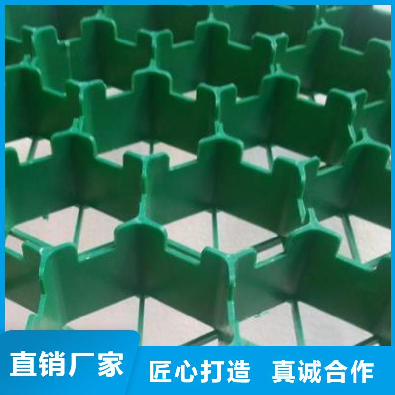 植草格防护虹吸排水收集系统产地直供