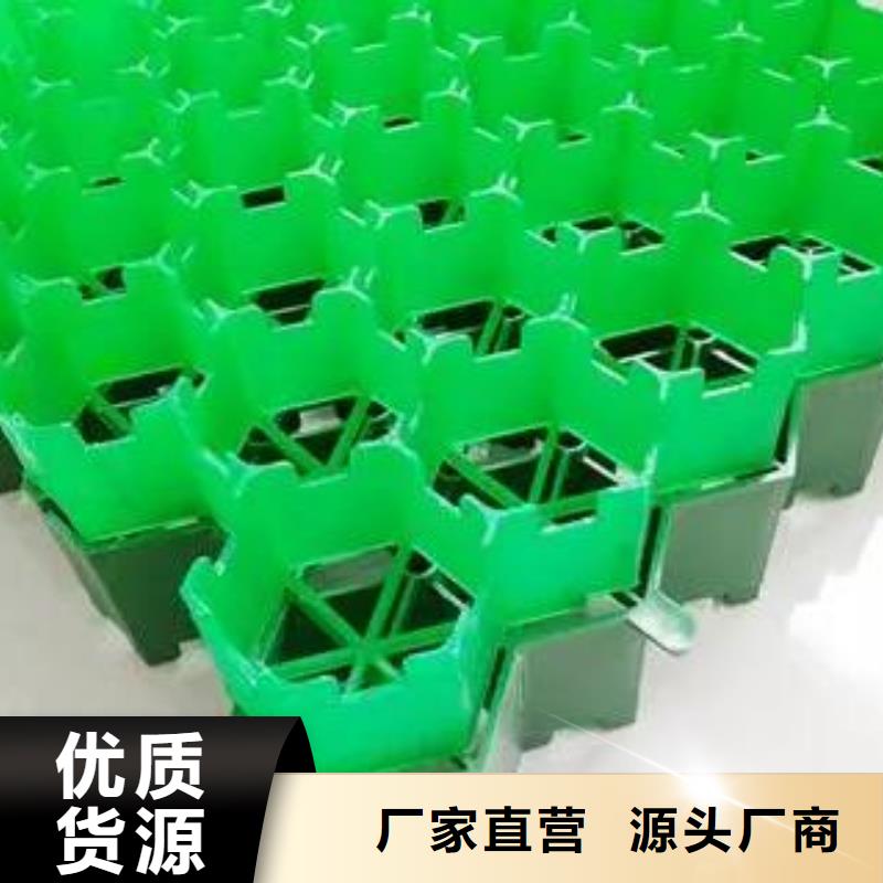 塑料植草格-实业集团