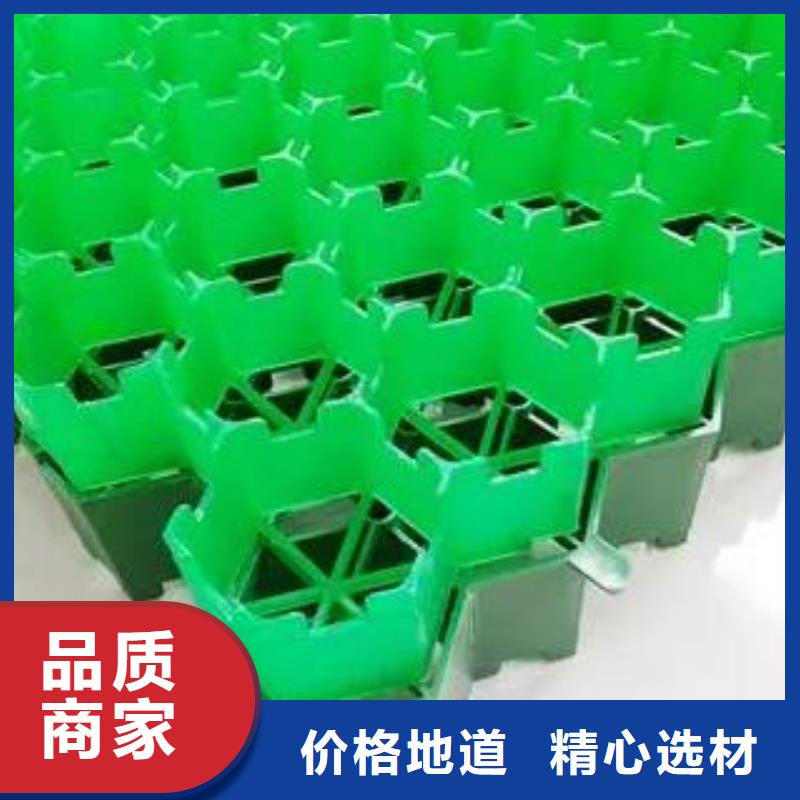 塑料植草格厂家直供