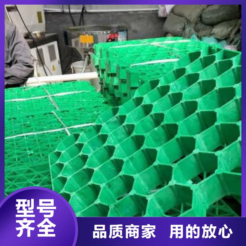 塑料植草格型号全-工厂店