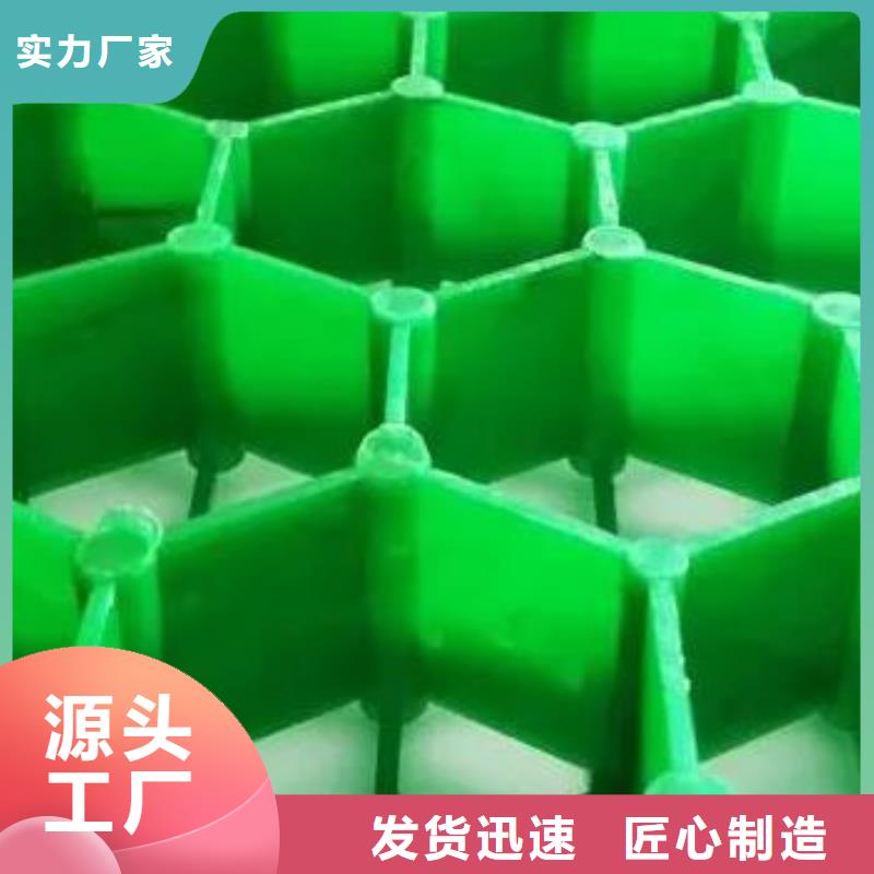 塑料植草格信息推荐