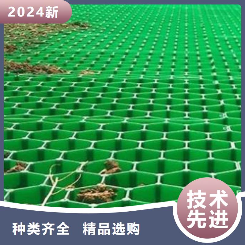 植草格2024报价