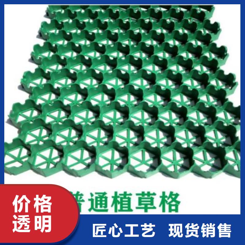 植草格水泥化粪池库存齐全厂家直供