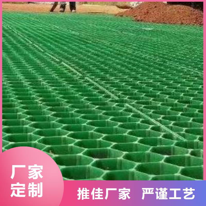 塑料植草格-停车场植草格实业公司