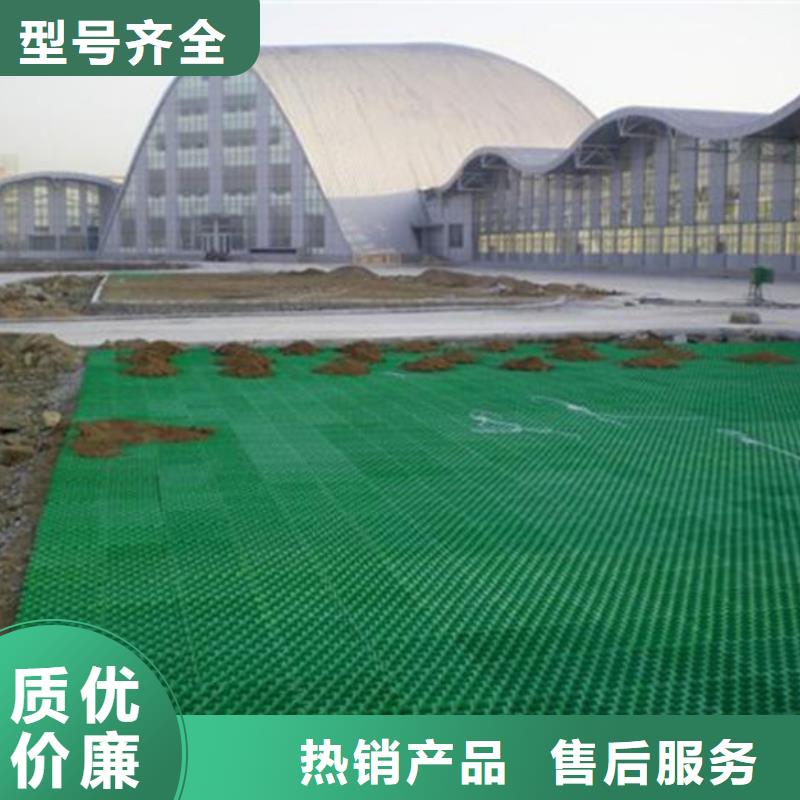 塑料植草格2024报价