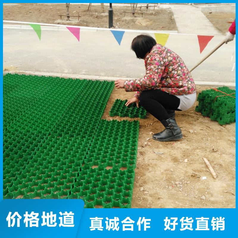 植草格型号全/价格低