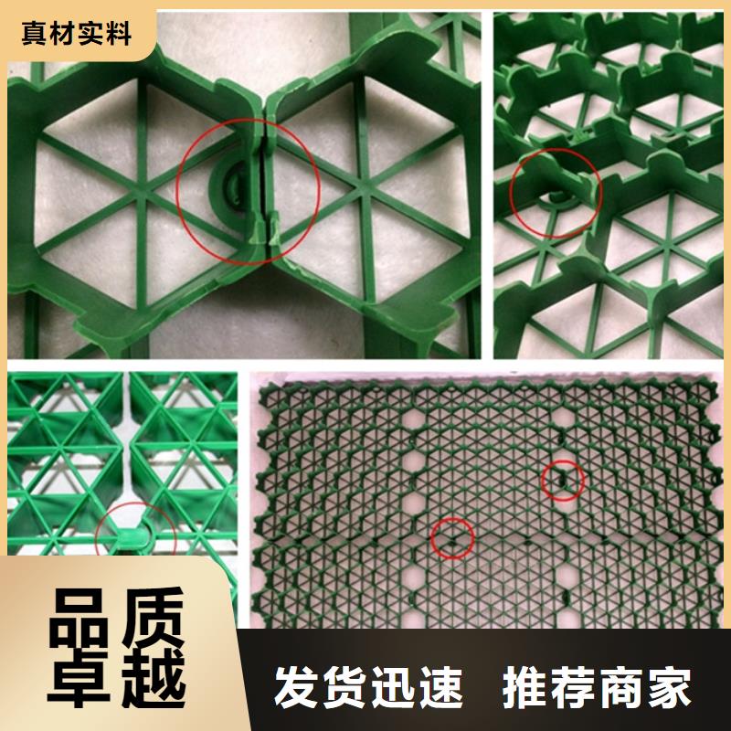 【植草格防护虹吸排水收集系统精工打造】