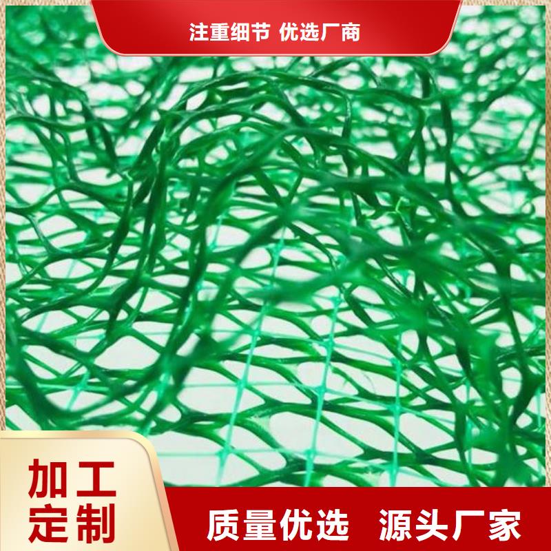 三维植被网水泥化粪池打造行业品质