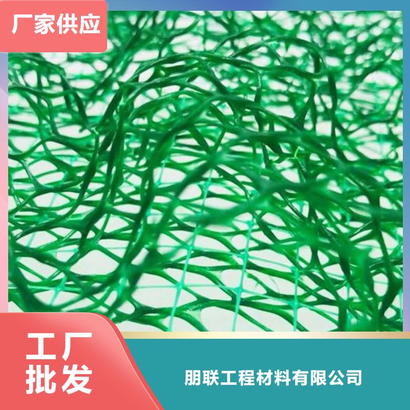 三维植被网植草格订购
