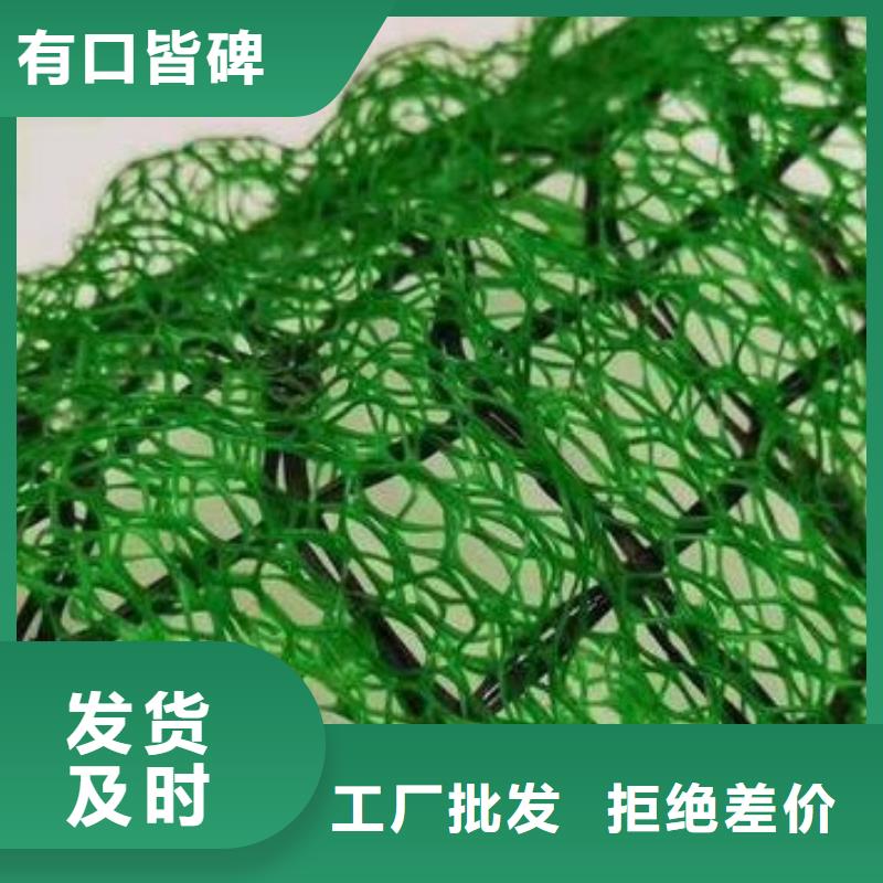 三维植被网【水泥化粪池】质检合格发货