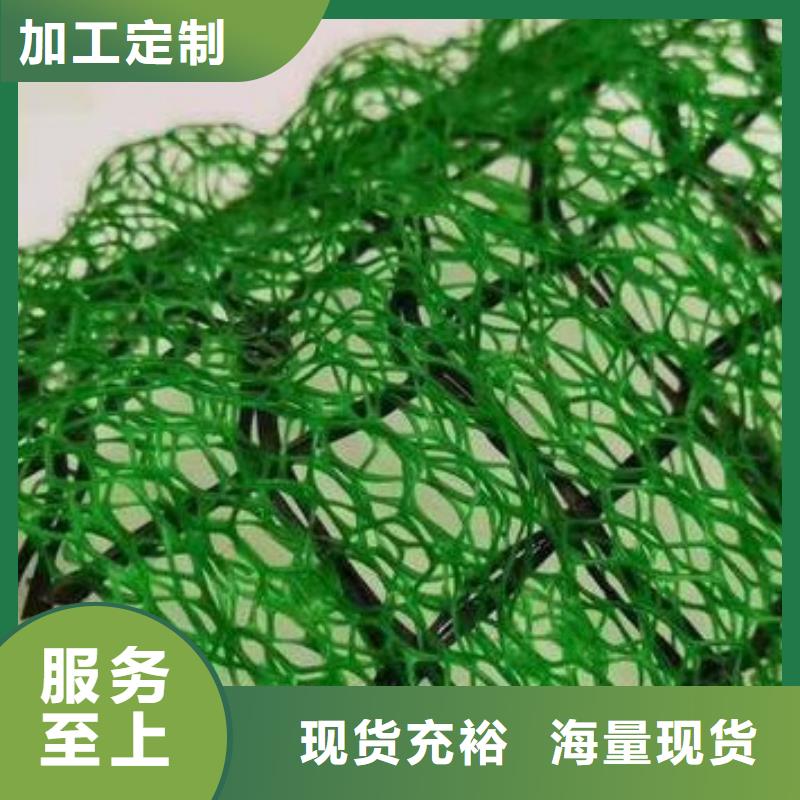 【三维植被网】植草格一周内发货