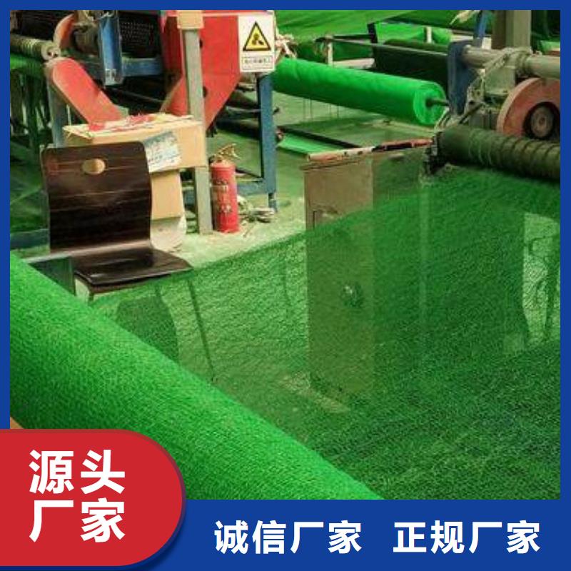 三维植被网,车库虹吸排水系统价格有优势
