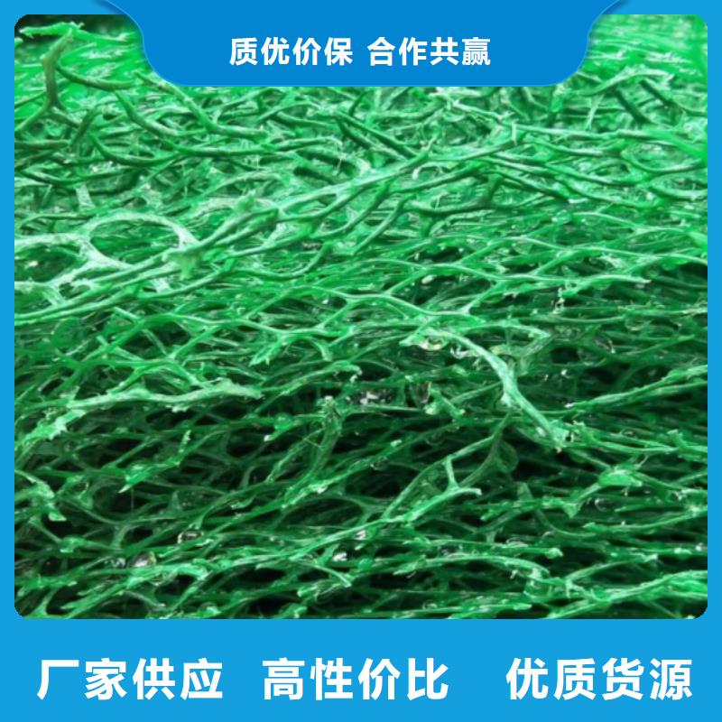 三维植被网水泥化粪池专业生产厂家