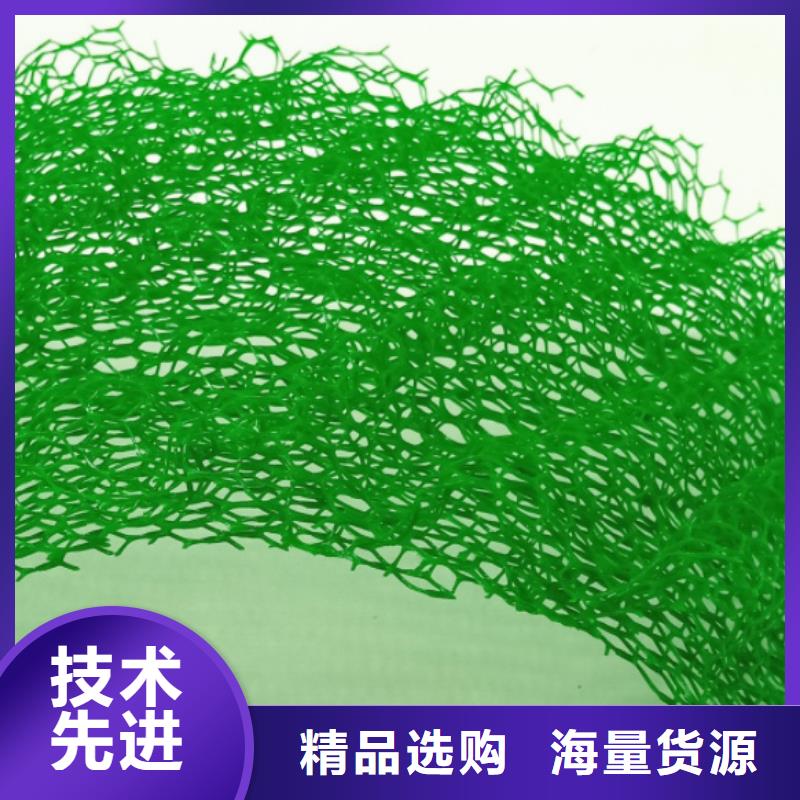 三维植被网水泥化粪池专业生产厂家