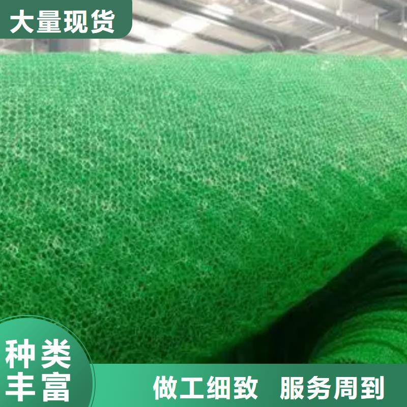 三维植被网水泥化粪池多行业适用
