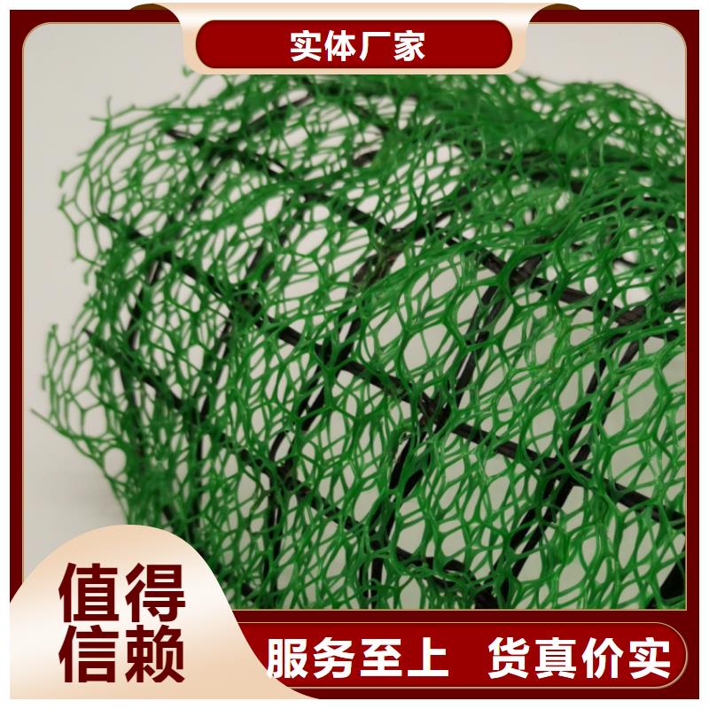 三维植被网-植草格厂家品控严格