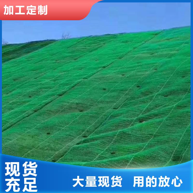 三维植被网植草格库存充足