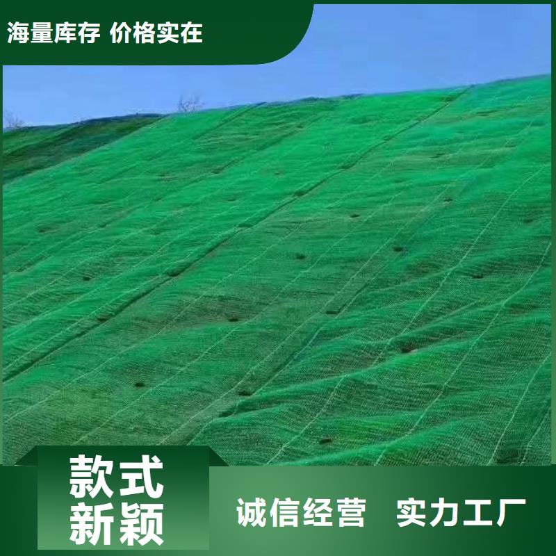 三维植被网-植草格厂家品控严格