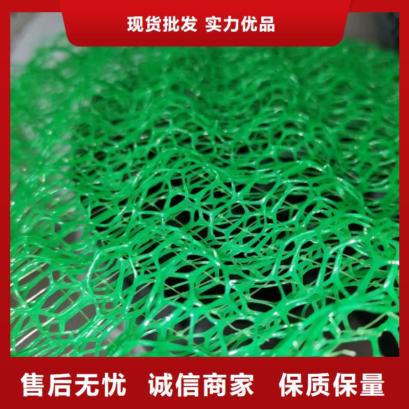 三维植被网-植草格厂家品控严格
