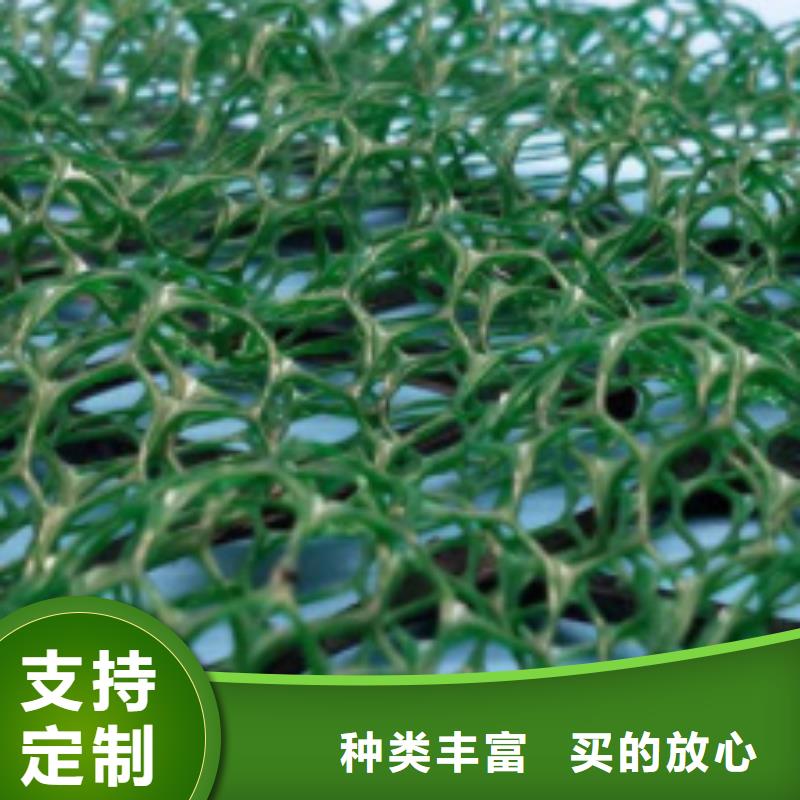 三维植被网水泥化粪池打造行业品质