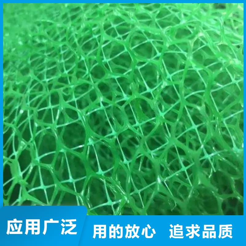 三维植被网水泥化粪池打造行业品质
