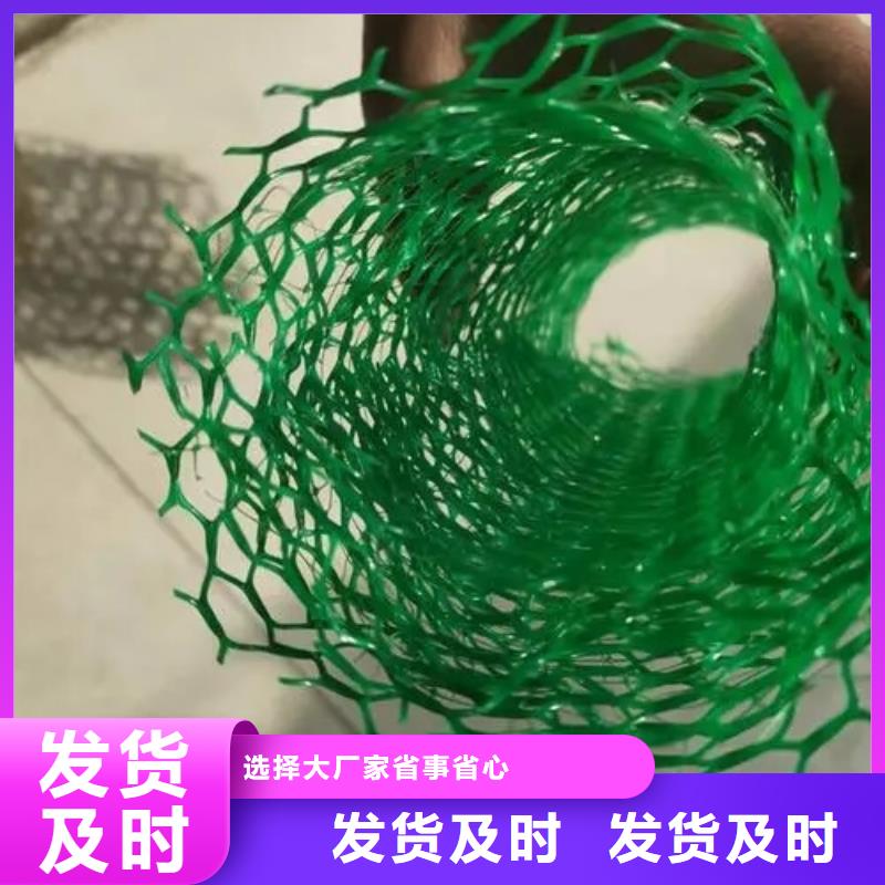 三维植被网-植草格厂家品控严格