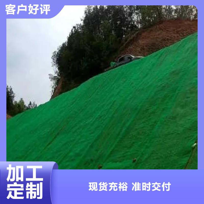 【三维植被网】植草格支持批发零售