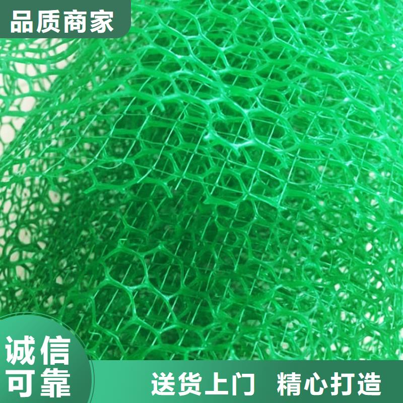三维植被网植草格订购