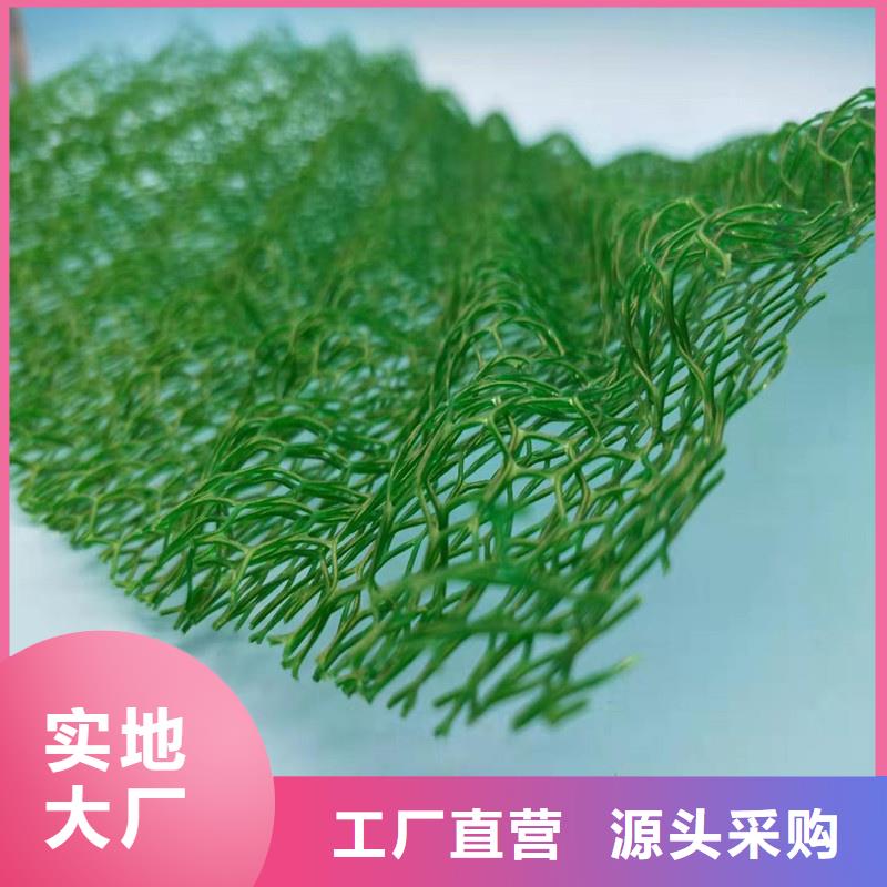 【三维植被网】植草格支持批发零售