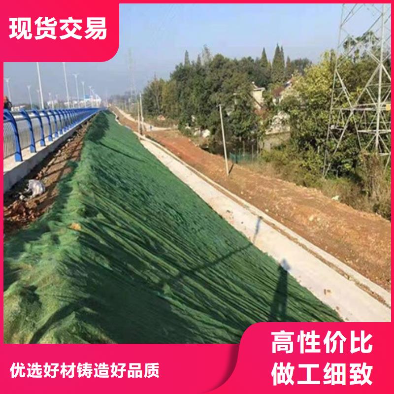 三维植被网植草格订购
