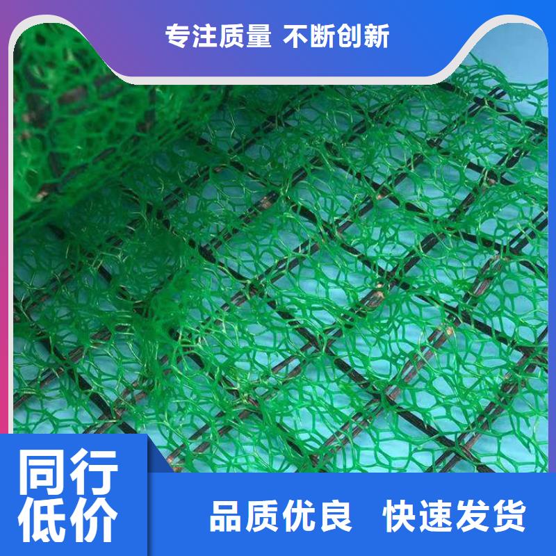 【三维植被网】植草格支持批发零售