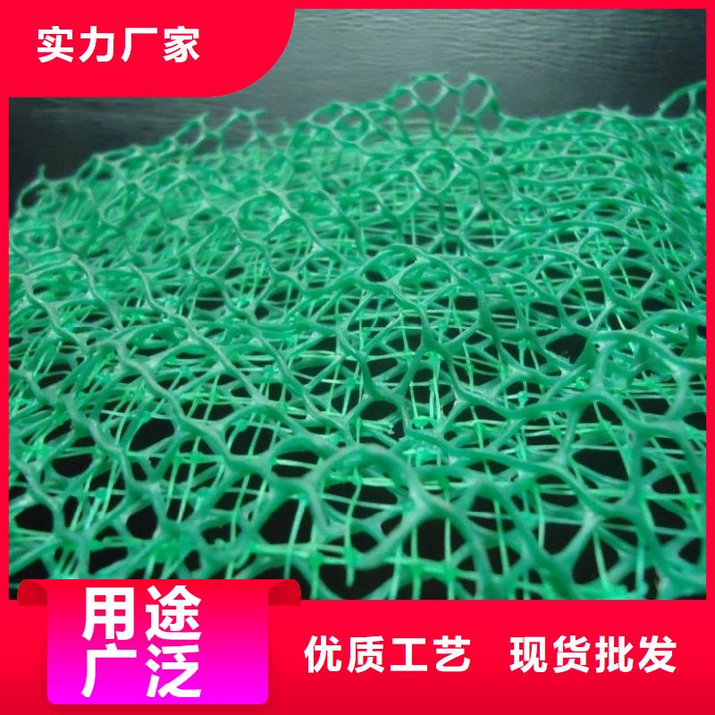 三维植被网水泥化粪池多行业适用