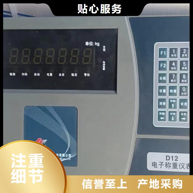 蒲县100T数字式地磅柯力SK-3118仪表