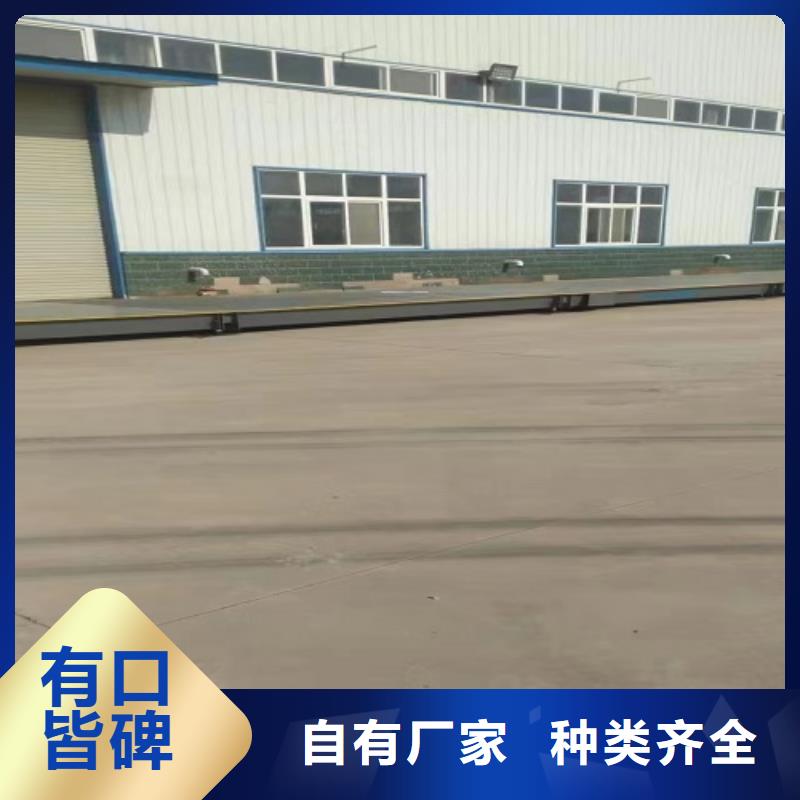 电子地磅-电子磅一站式采购方便省心