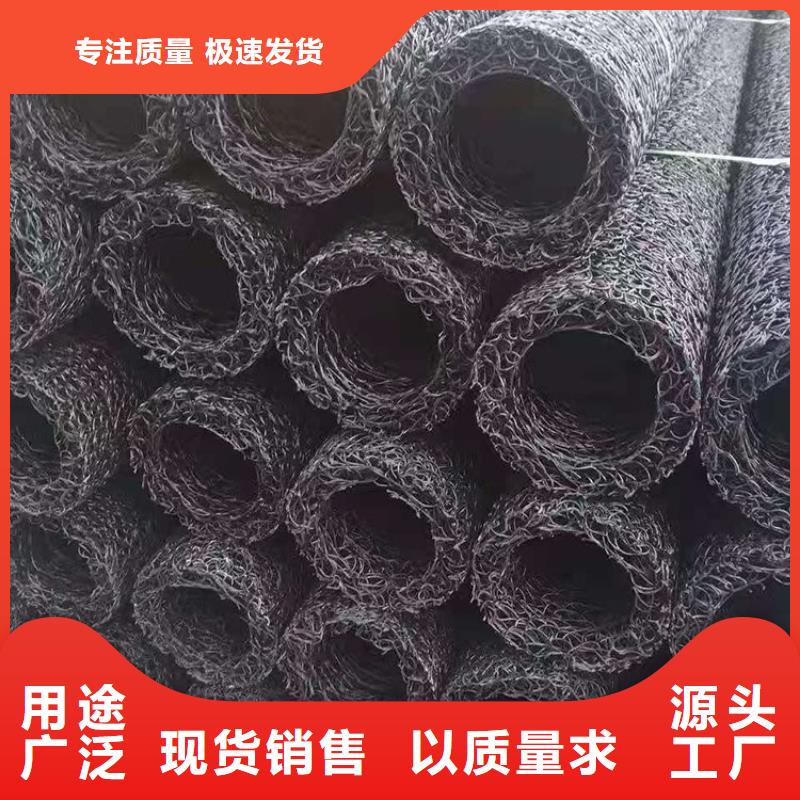 塑料盲沟-土工格栅实体厂家