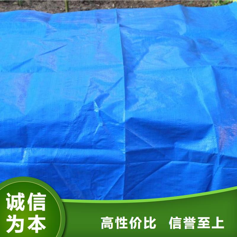 【防雨布】塑料雨布彩条布应用广泛