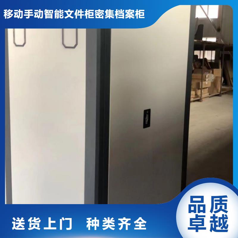 2025经验丰富#档案保管柜定制#源头厂家
