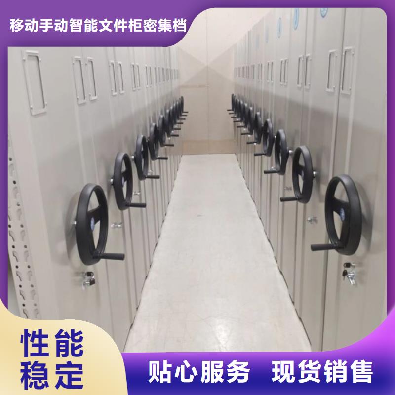 十年质保【泽信】网片式油画密集架