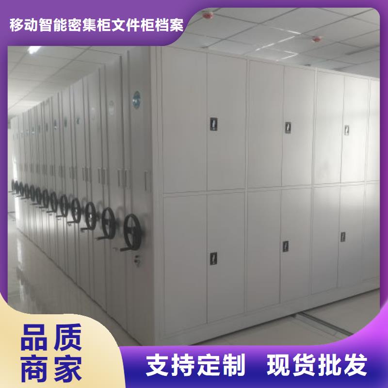 维修保养【泽信】橱式密集柜