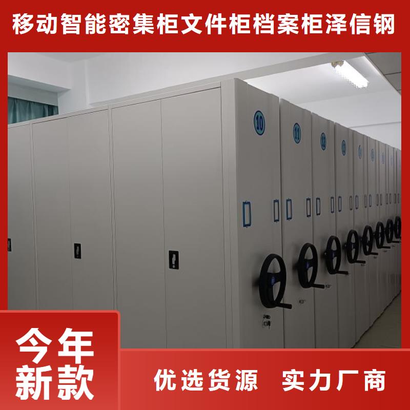 十年质保【泽信】双柱密集架