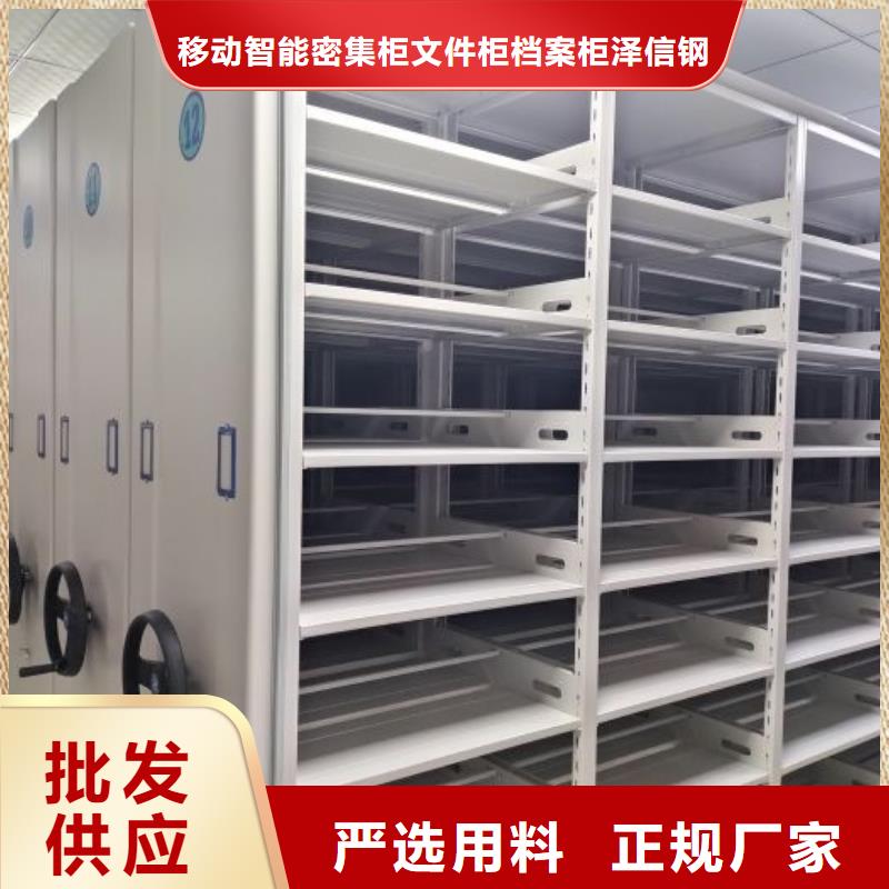 欢迎惠顾【泽信】橱式密集架