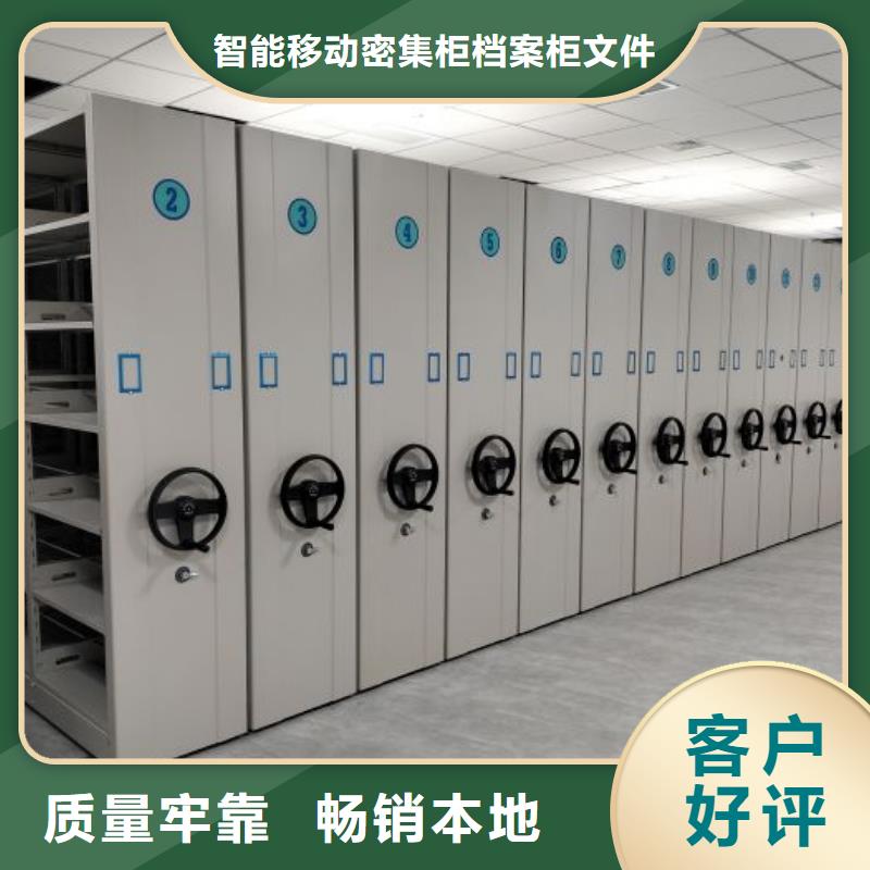 尽善尽美【鑫康】樟木密集架