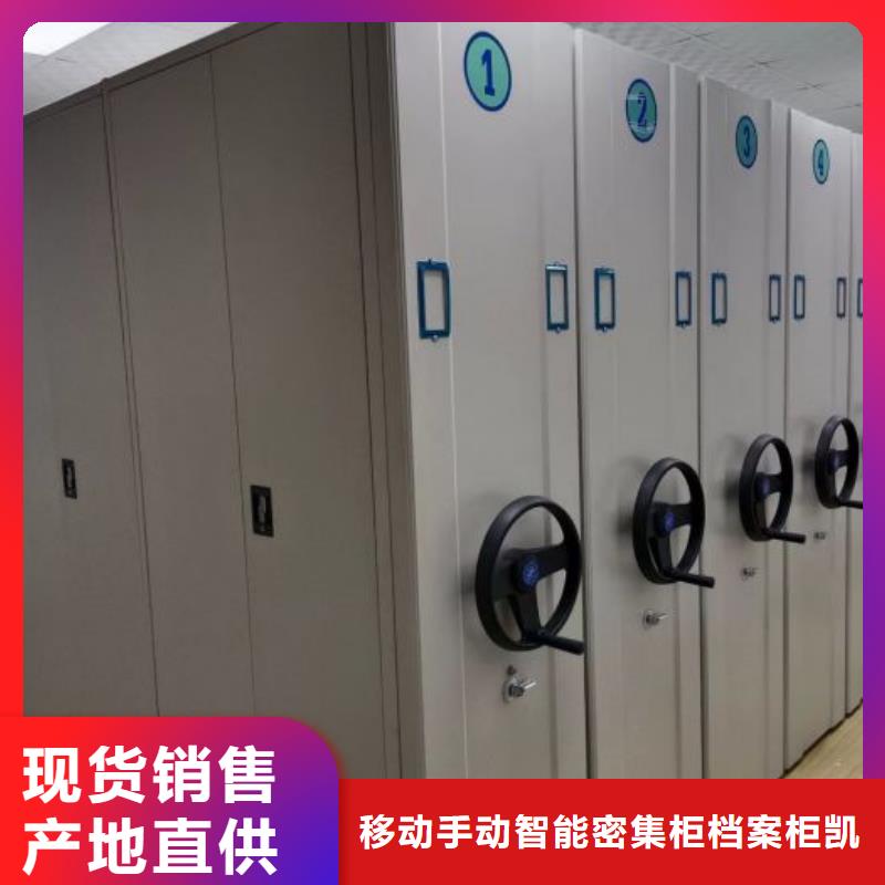 2025质优价廉#文件档案柜制造商#来图定制