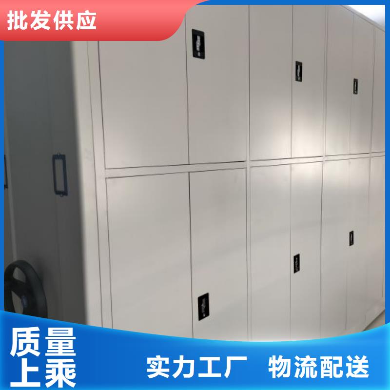 自选层档案柜高端定制
