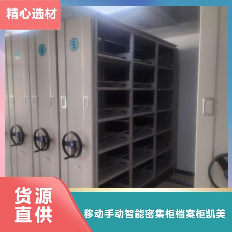 厂家哪家好【凯美】橱式密集架