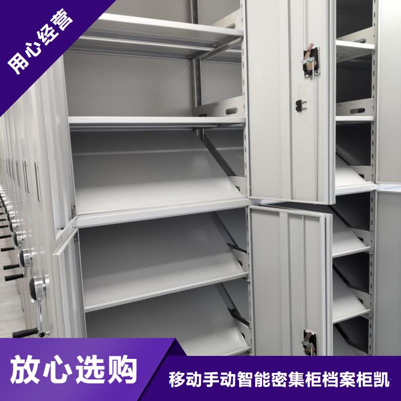 双柱密集架价格
